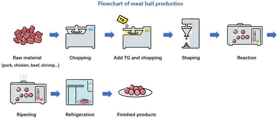 Methoden der TG-B Standard Transglutaminase Meatball