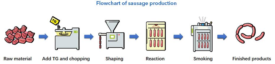 Methoden der TG-B Standard Transglutaminase Sausage